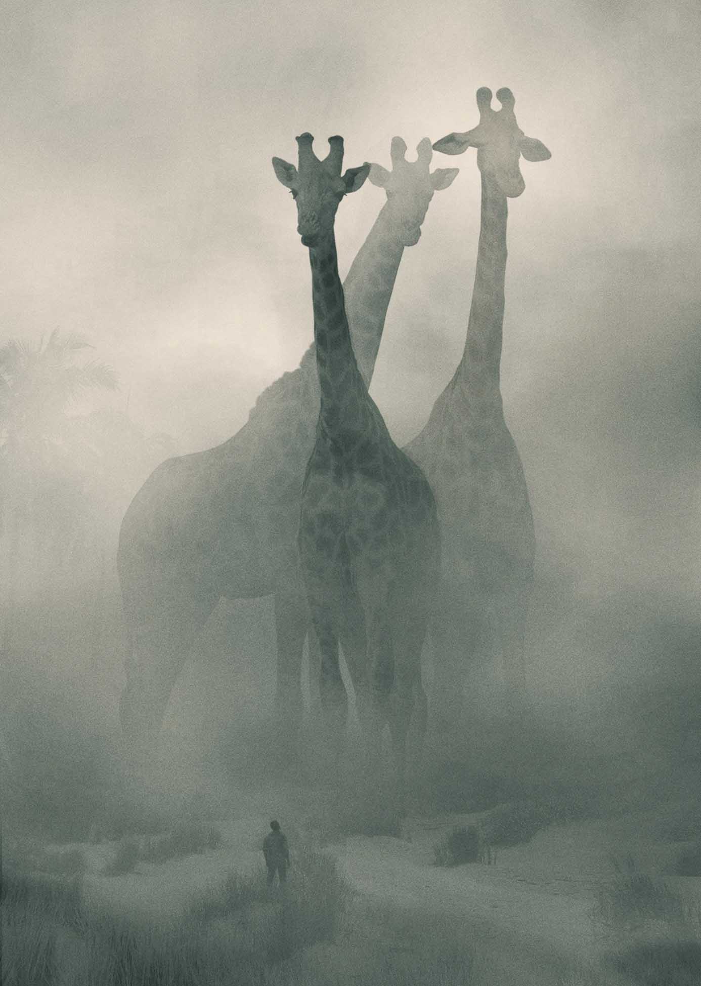 Mini People in the Junge